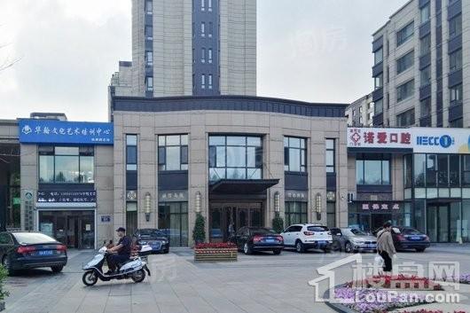 万科柏翠园实景图