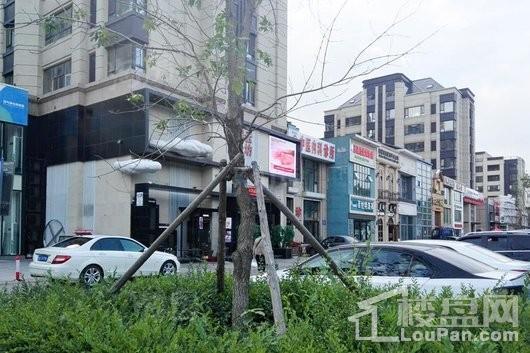 万科柏翠园实景图