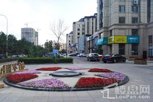 万科柏翠园实景图