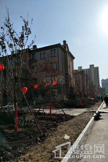 奥体玉园实景图