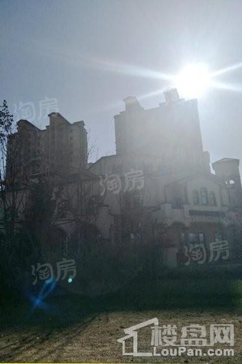 实景图