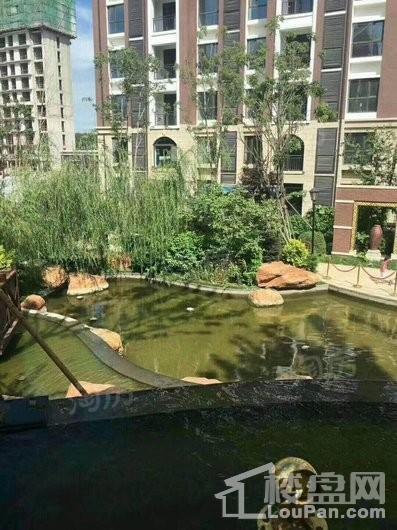 雨润星雨华府实景图