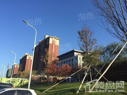 亚泰华府实景图