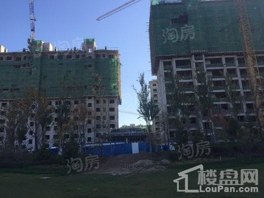 亚泰山语湖实景图