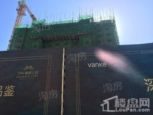万科翡翠公园实景图