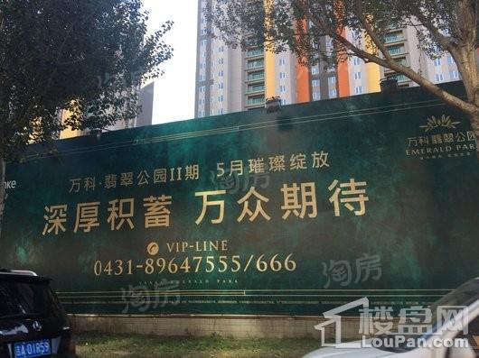 万科翡翠公园实景图