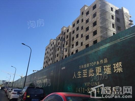 万科翡翠公园实景图