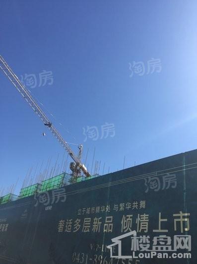 万科翡翠公园实景图