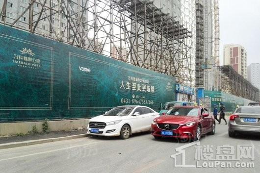 万科翡翠公园实景图