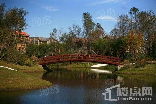 恒大御水庄园实景图