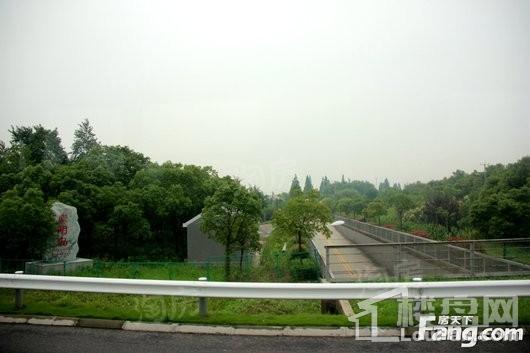 森林里配套图