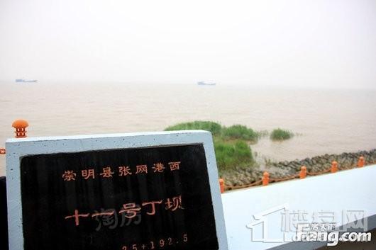 森林里配套图