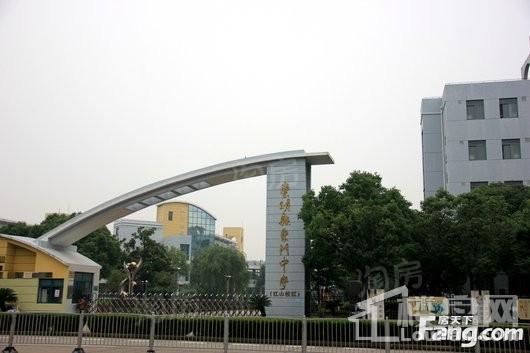 森林里配套图