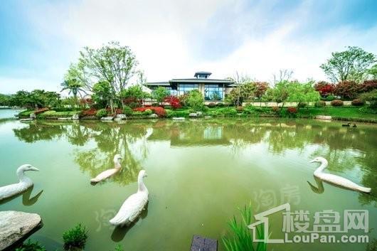 东滩花园实景图