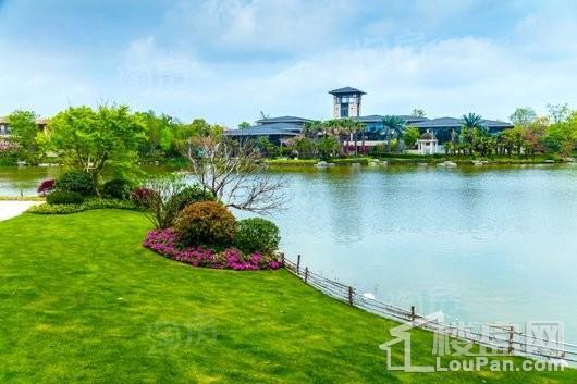 东滩花园实景图