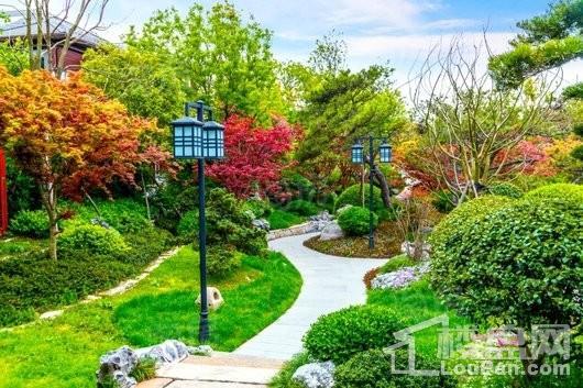 东滩花园实景图