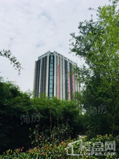 实景图