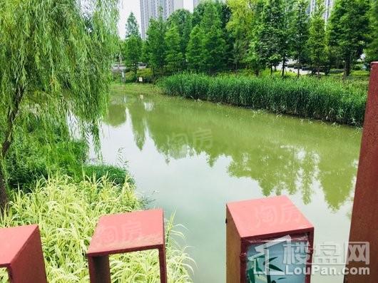连飞虹湖天地配套图