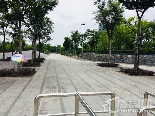 连飞虹湖天地配套图