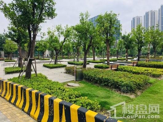 连飞虹湖天地配套图