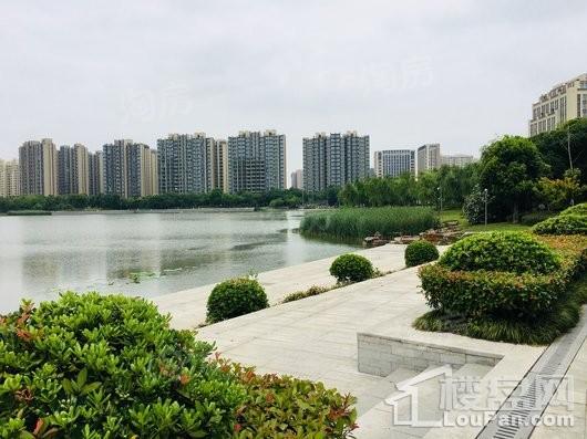 连飞虹湖天地配套图