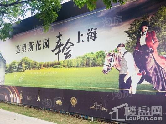 莫里斯花源实景图