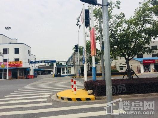 莫里斯花源配套图