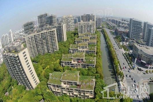 实景图