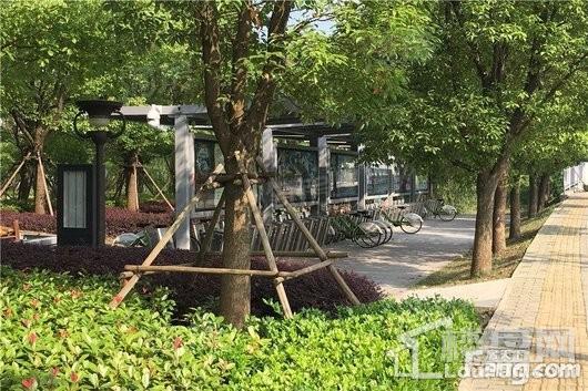 周边配套图