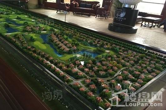 棕榈滩高尔夫别墅实景图