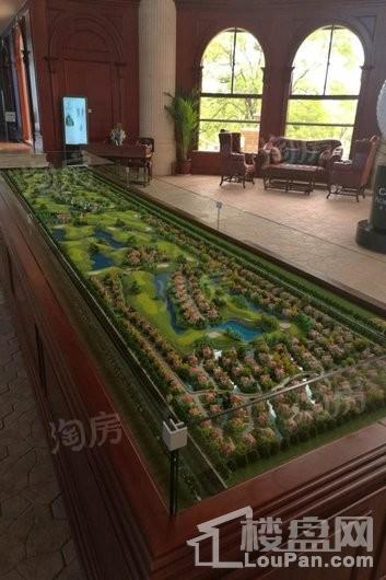 棕榈滩高尔夫别墅实景图