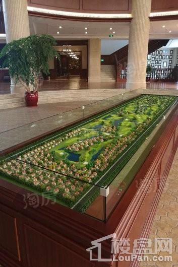 棕榈滩高尔夫别墅实景图