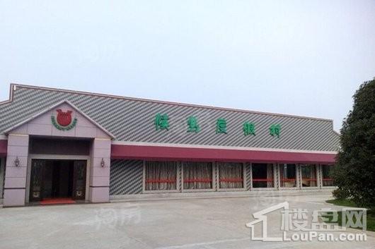 崇明三湘森林海尚配套图