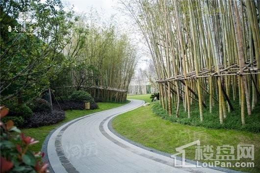 泰禾大城小院实景图
