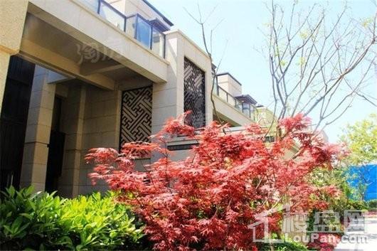 禹洲雍贤府实景图