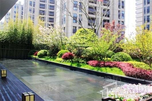 禹洲雍贤府实景图