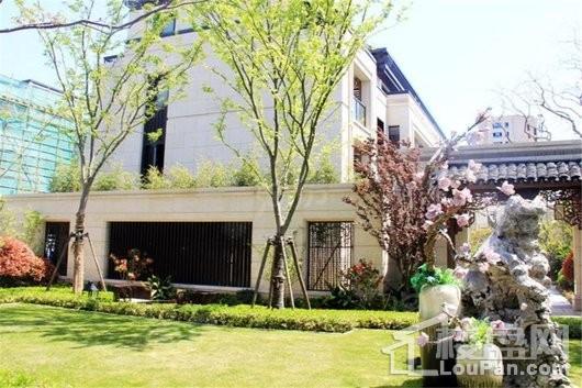 禹洲雍贤府实景图