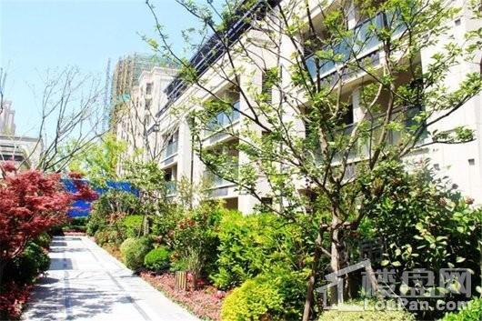 禹洲雍贤府实景图