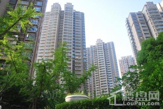 建邦16区二期实景图