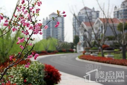 上海高尔夫社区实景图