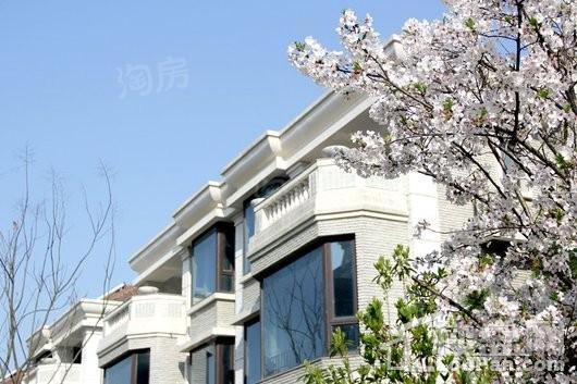上海高尔夫社区实景图