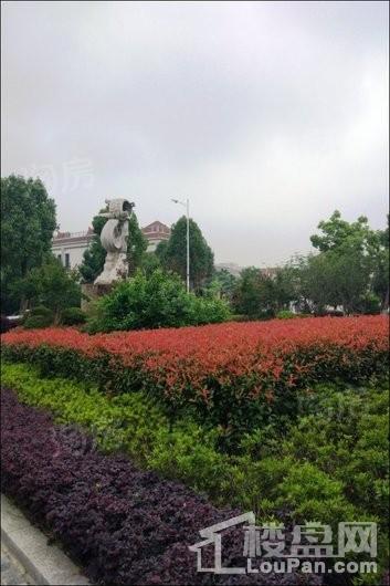 高尔夫社区汤泉美地城实景图