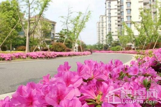 高尔夫社区汤泉美地城效果图