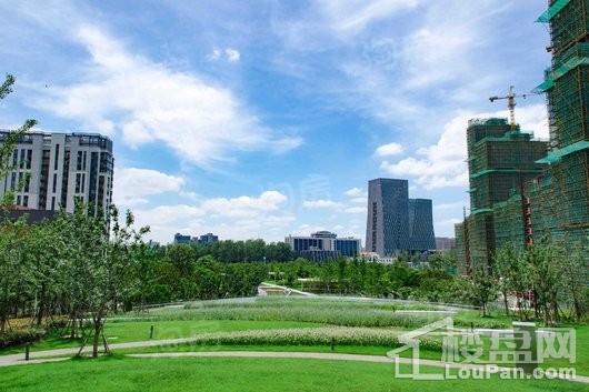 实景图