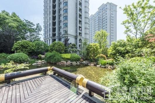 绿洲康城金邸实景图