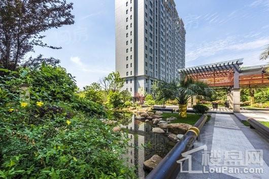 绿洲康城金邸实景图