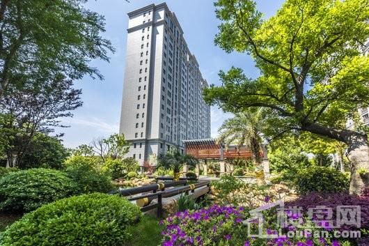 绿洲康城金邸实景图