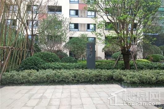 中粮南桥锦云实景图