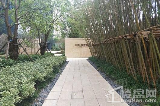中粮南桥锦云实景图