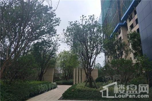中粮南桥锦云实景图